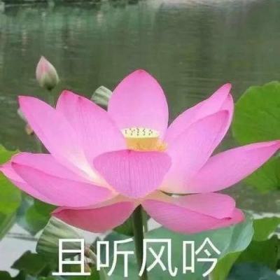湖南湘潭市：深化校地合作，推进“校友回潭”