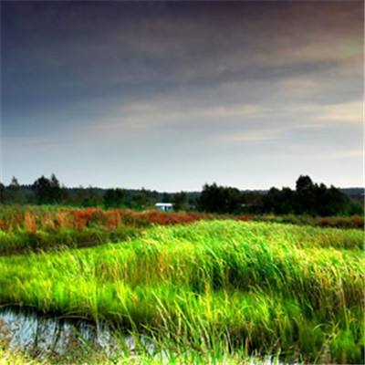 “十三五”期间我国新增湿地面积20.26万公顷